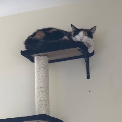 DavidBHome's tweet image. #NewProfilePic