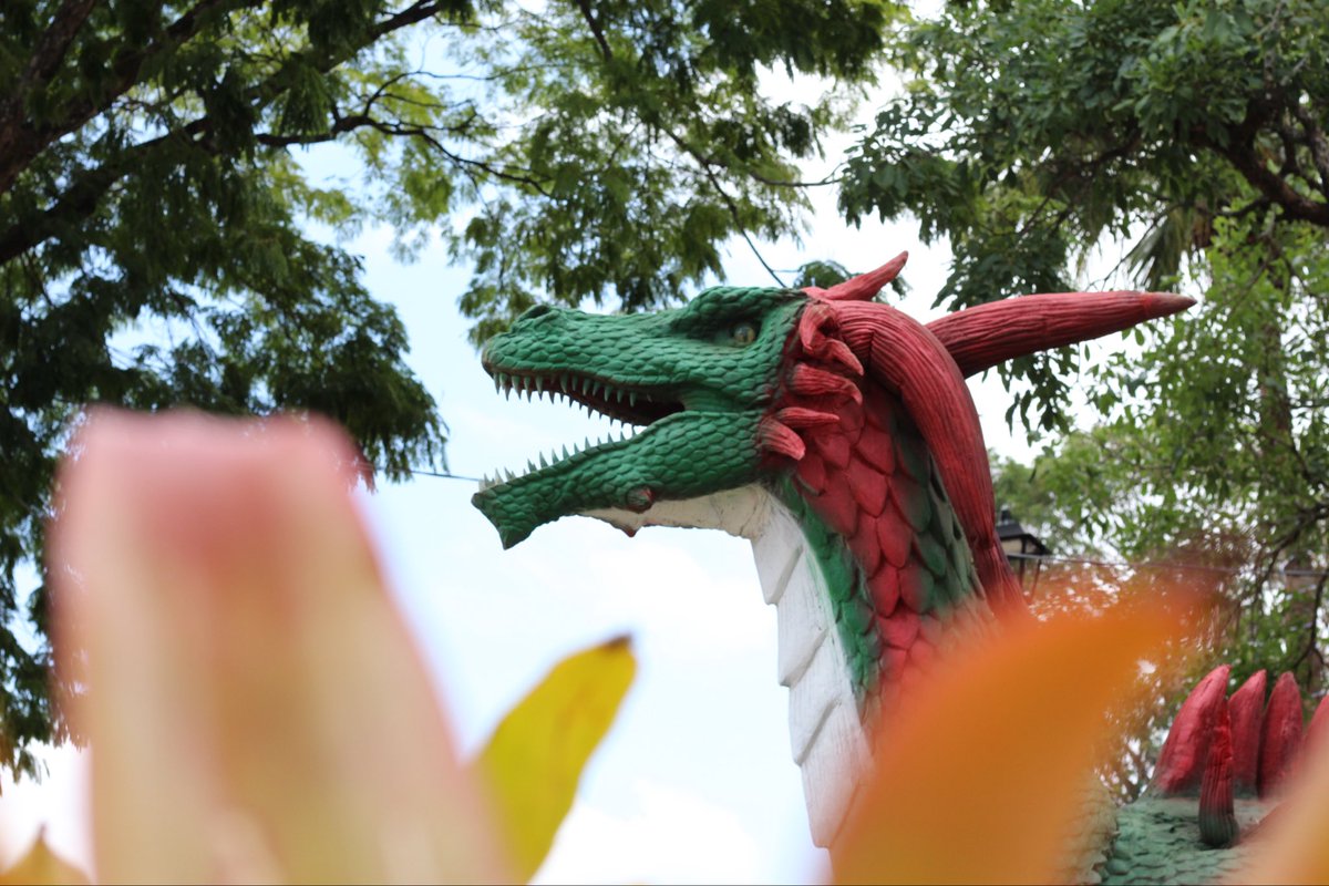 julianoduarte23's tweet photo. Vocês já viram como está o Jardim da cidade de Mariana? https://t.co/3XNbjR7M29