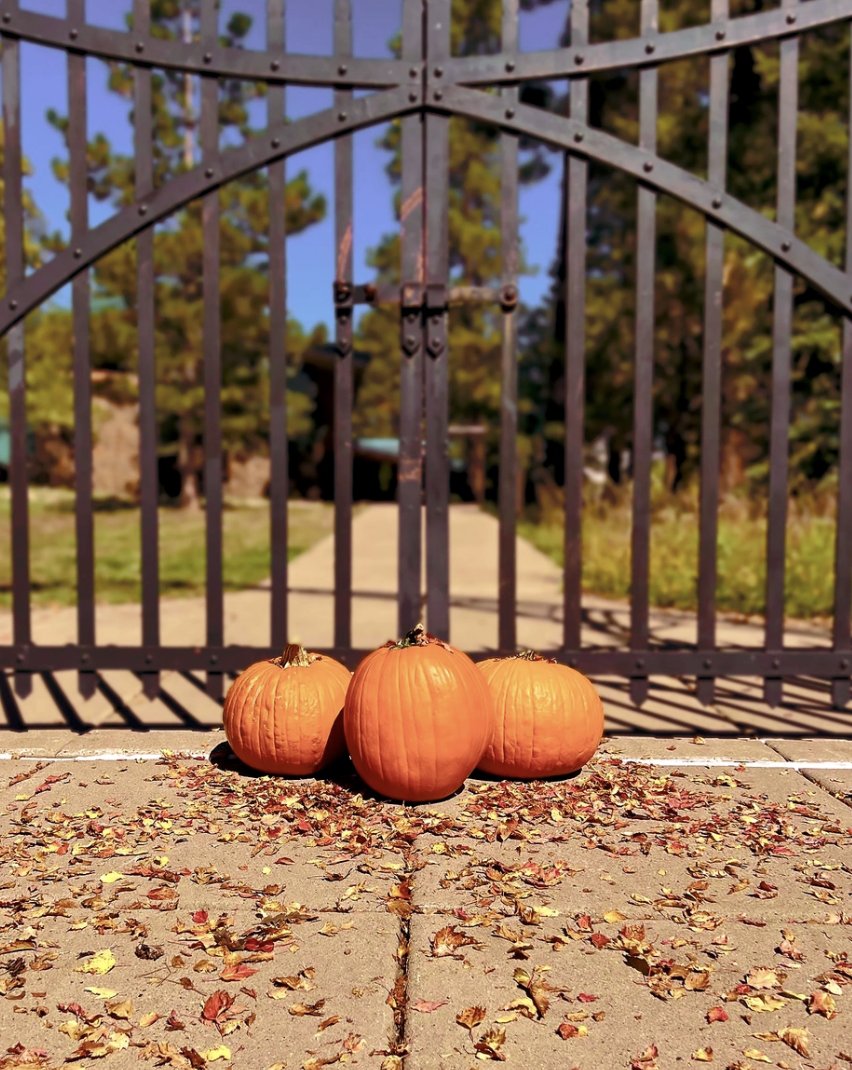 Lowell Observatory tweet media