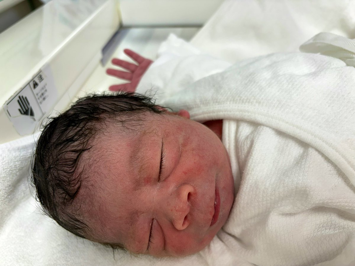 ゆきママ | 体育会系コーダー&デザインやりたくない人 tweet media