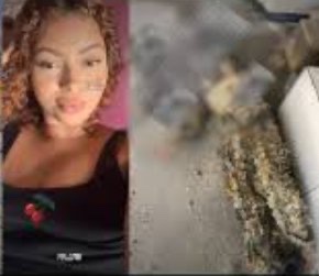 capicox's tweet photo. 🔥 O povo do Rio tá comentando só disso hoje! 😳
Uma operação apareceu no Portal Zacarias, e o nome de Penélope da Penha não sai das redes 👀 Falam até de Charmosa, Malandrex RJ e Japinha do CV no meio do bafafá 💥

https://t.co/oSsIrg4sjy… https://t.co/tHfQW0SF89