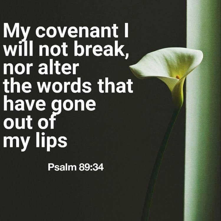 Does God change His mind?  The Scriptures say --

"My covenant I will not break, Nor alter the word that has gone out of My lips."  Psalm 89:34 (NKJV)

"He remembers His covenant forever, The word which He commanded, for a thousand generations,"  Psalm 105:8 (NKJV)