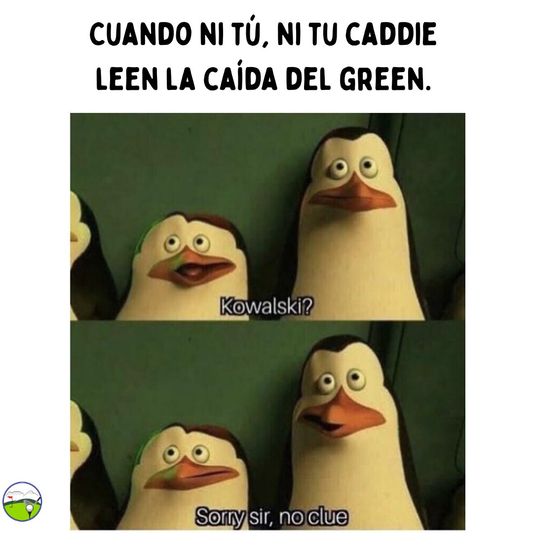 AGVM1's tweet image. Ese momento de pura honestidad (y un poco de pánico) cuando ni tú ni tu caddie tienen idea de hacia dónde va a rodar la bola. 🤷‍♂️🤷‍♀️ ¡'Sorry sir, no clue' es la respuesta más sincera en el green! 😂 ¿Quién se identifica?

#GolfHumor #MemeDeGolf #LeyendoElGreen #CaddieLife #AGVM