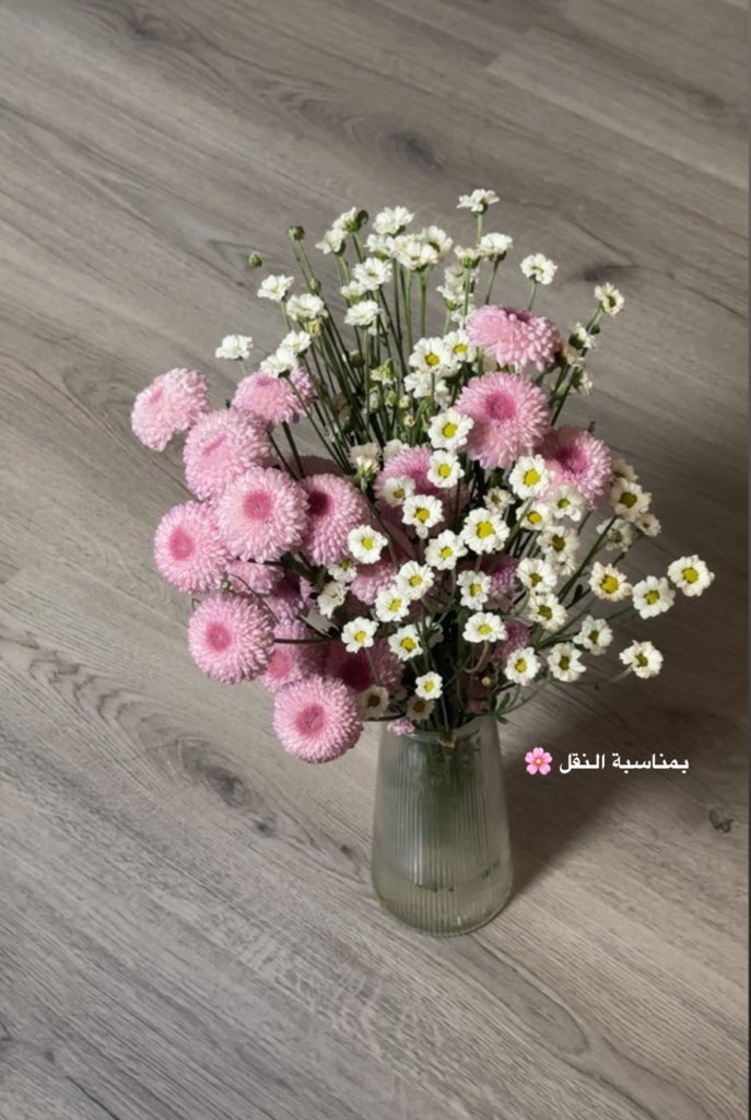 Ohood | UX ✨ tweet media