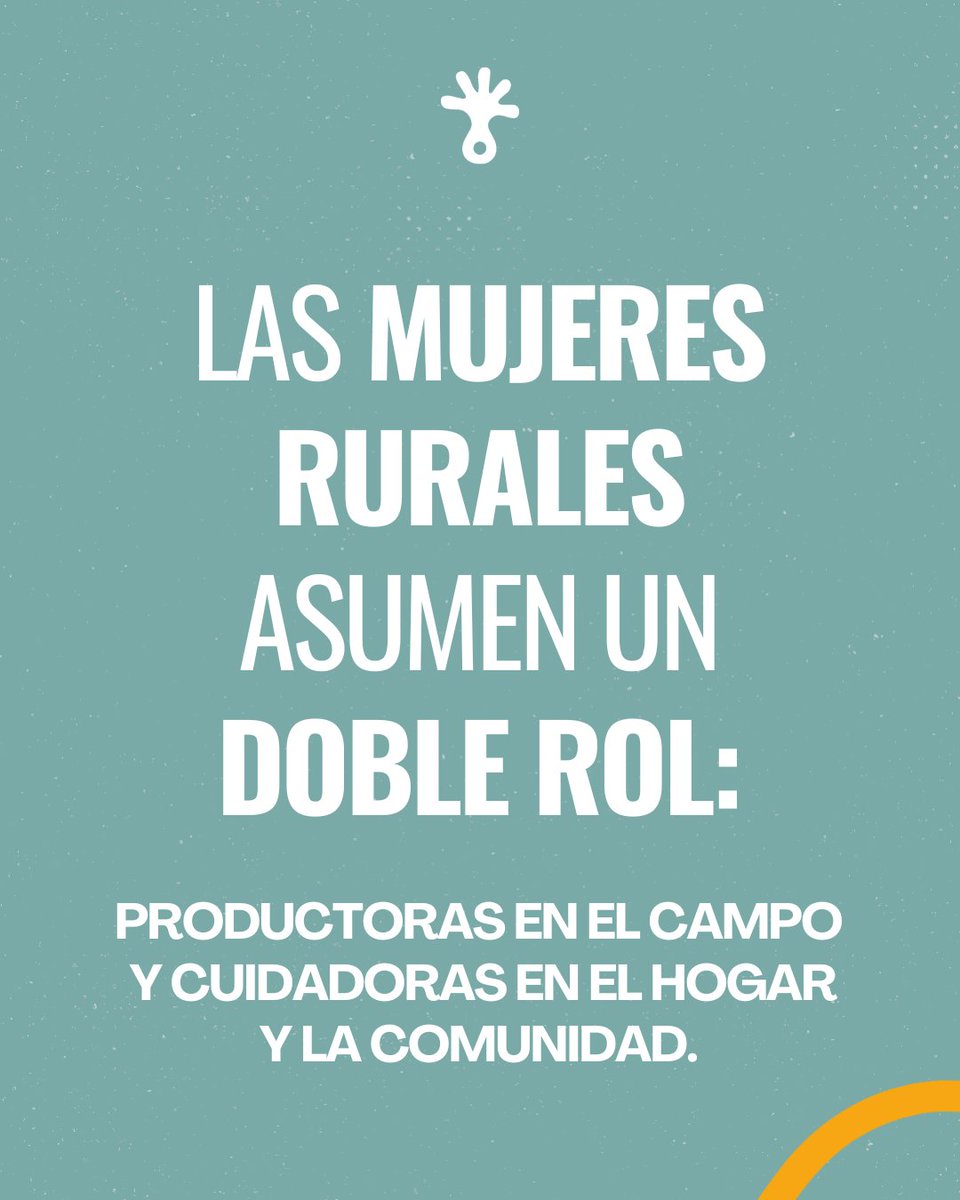 Fundación Gran Chaco tweet media