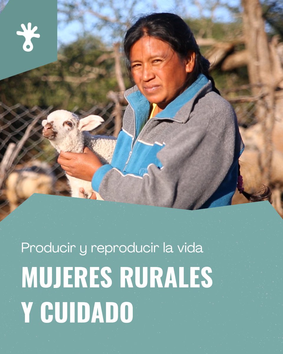 Fundación Gran Chaco tweet media