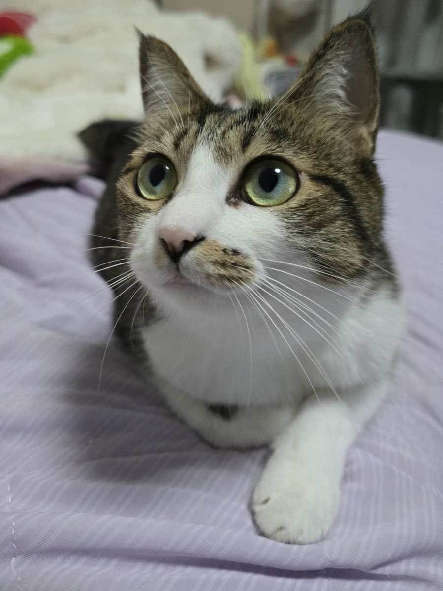 まりもちゃん！と🧌 on X