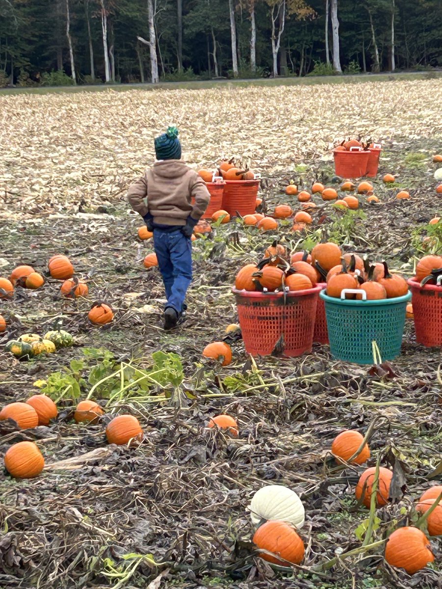 Charles Wright IV tweet media