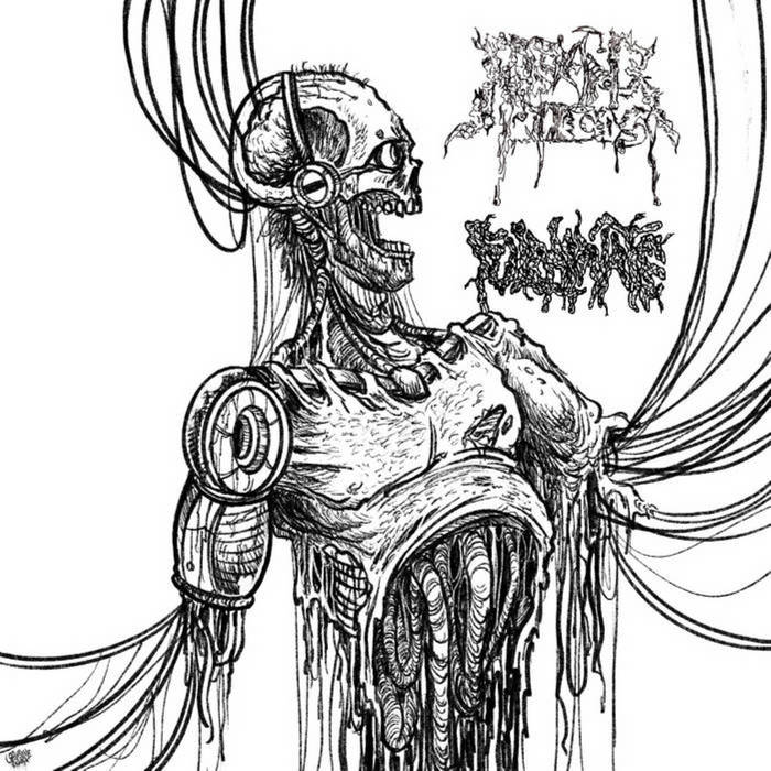 KMANRIFFSMetal's tweet photo. FULL FORCE FRIDAY:🆕October 31st 5⃣9⃣🎧
FULMINATE/REEKING PIECES - Fulminate/Reeking Pieces 🇺🇸💠
11 track split album from U.S Death Metal/Goregrind outfit💠
BC➡️https://t.co/WDhhymWsQL💠
#Fulminate #ReekingPieces #DeathMetal #Goregrind #FFFOct31 #KMäN https://t.co/DNB2KEPKBV