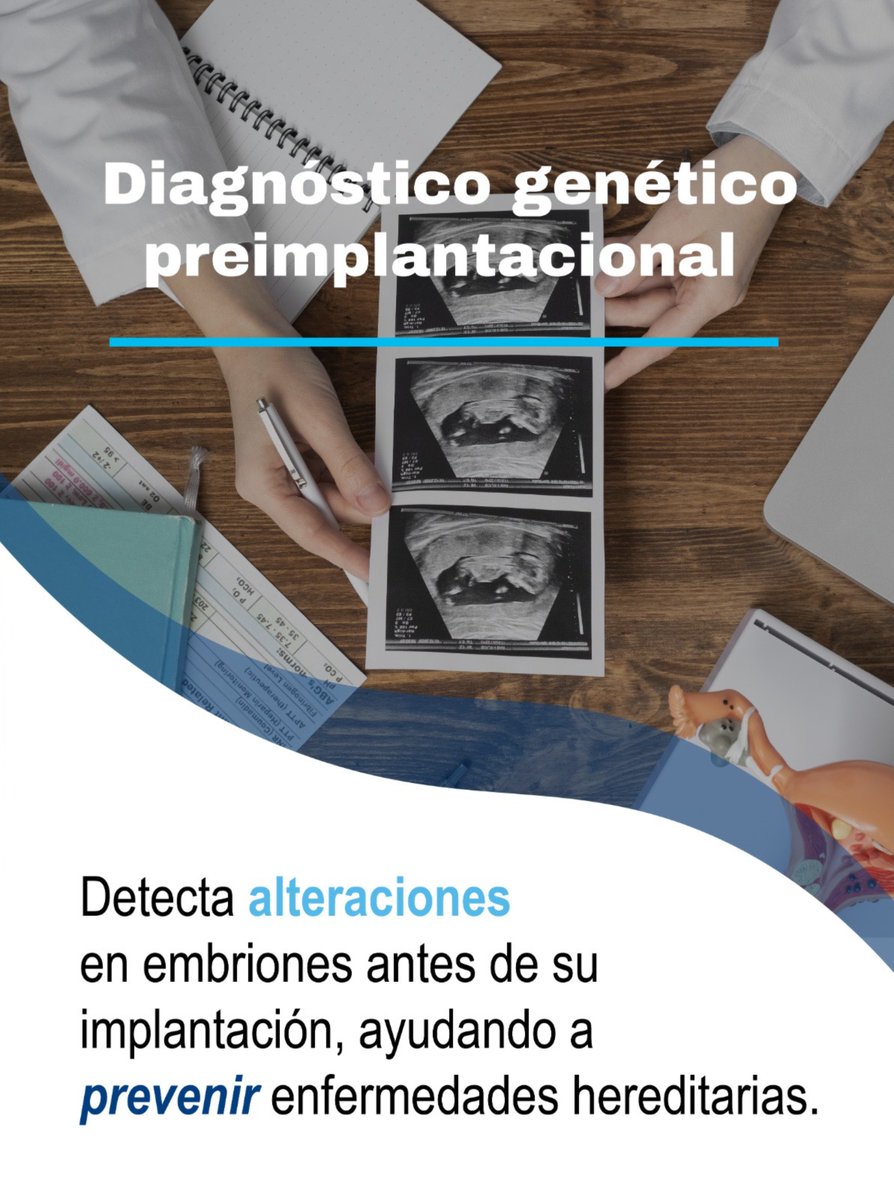 Lab_LifeNGS's tweet photo. La genética reproductiva ofrece nuevas oportunidades para formar familias con mayor seguridad.
Descubre más en nuestro blog.

#GenéticaReproductiva #PrevenciónFamiliar #DGP #SaludGenética https://t.co/g7yxdbids0
