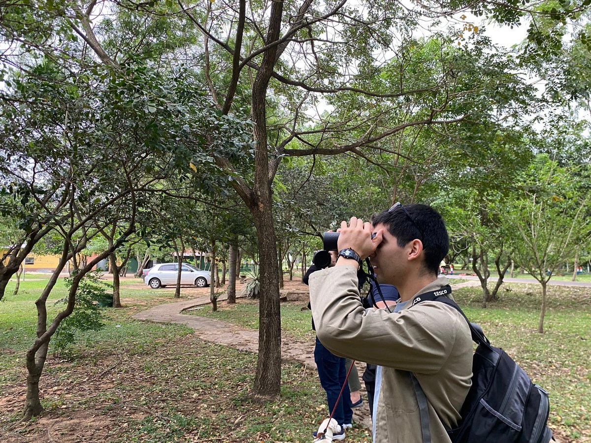 Senatur_Py's tweet image. 🕊️✨ ¡Vivimos una jornada maravillosa con Alas Urbanas!
En el Parque Guasu disfrutamos de una experiencia única de avistamiento de aves, conectando con la naturaleza y aprendiendo junto a expertos del Club de Observadores de la Naturaleza.
🌿 Agradecemos a todos los…