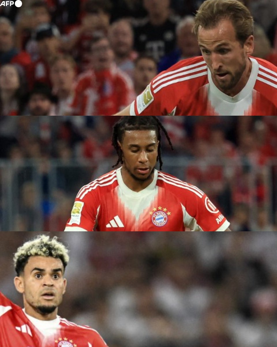 Invictos tweet media