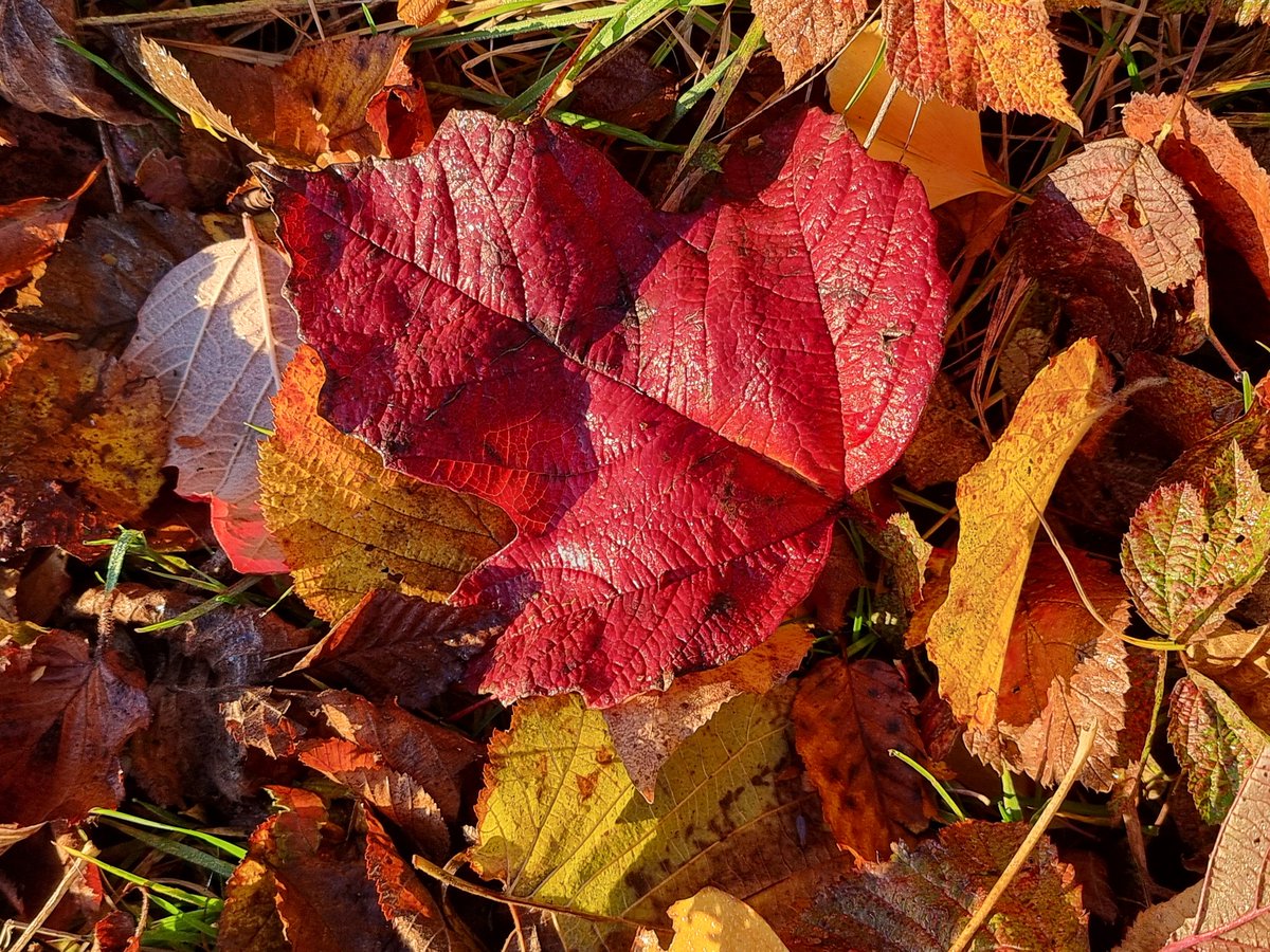 Heute wurden wir von früh bis spät von der Sonne verwöhnt ...