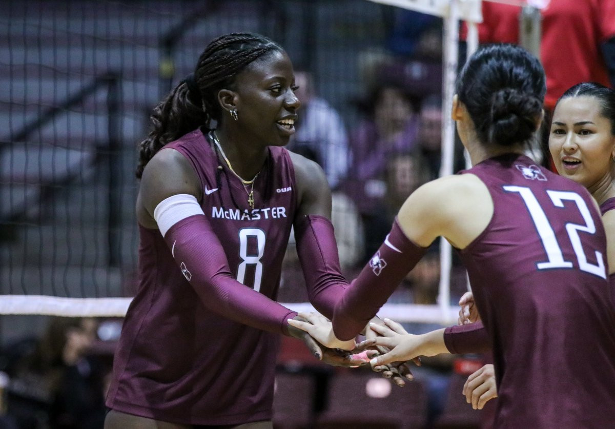 Michael Sun tweet media