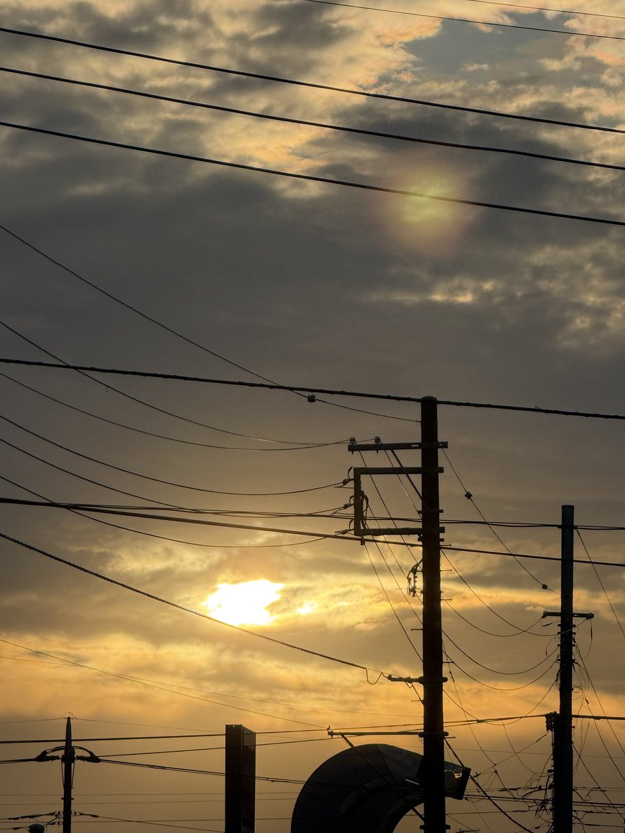 朝ごとに夕ごとに もふもふのあさ on X