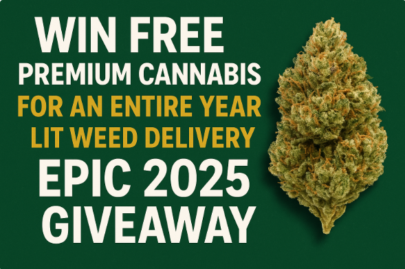 LWeeddelivery's tweet photo. 💨 Win FREE premium cannabis for an entire YEAR!

Join Lit Weed Delivery’s Epic 2025 Giveaway — Toronto’s hottest weed promo 🌿

Don’t miss your chance to stay lit all year long 🔥

👉 https://t.co/VZFW2PLa50

#LitWeedDelivery #WeedGiveaway #Toronto420 https://t.co/XRkaJ42Meb