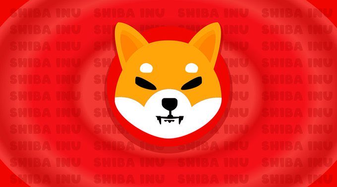 SHIBpossessor's tweet photo. You Know What Happens Next For $SHIB https://t.co/JvNtucjeyQ