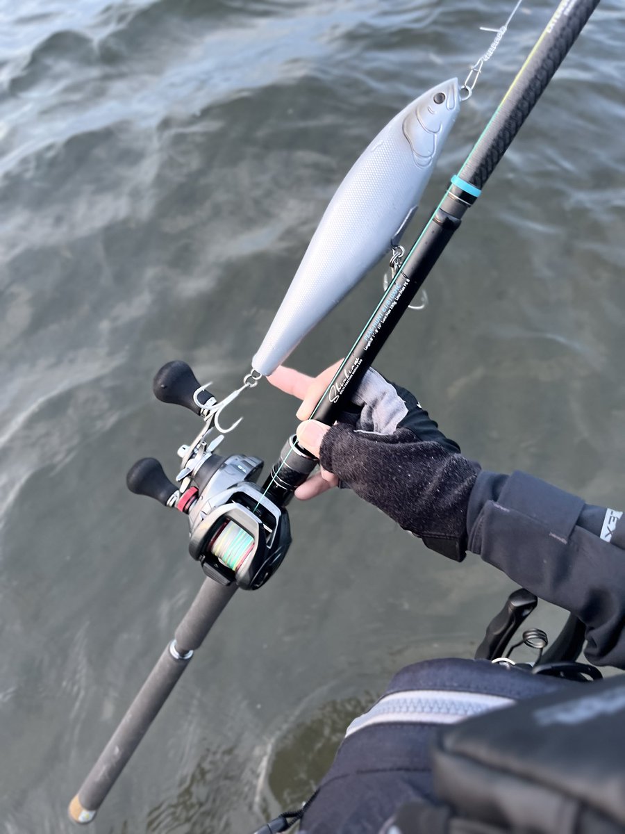 ☆本日終了　和竿　⑧ ダイワ(DAIWA)|船竿|HARDOFFオフモール（オフモ）|1310030000016072