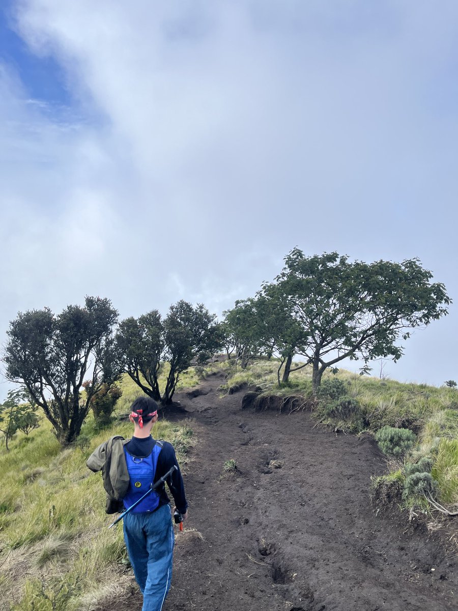 realarrell's tweet image. Mountain date? #merbabu