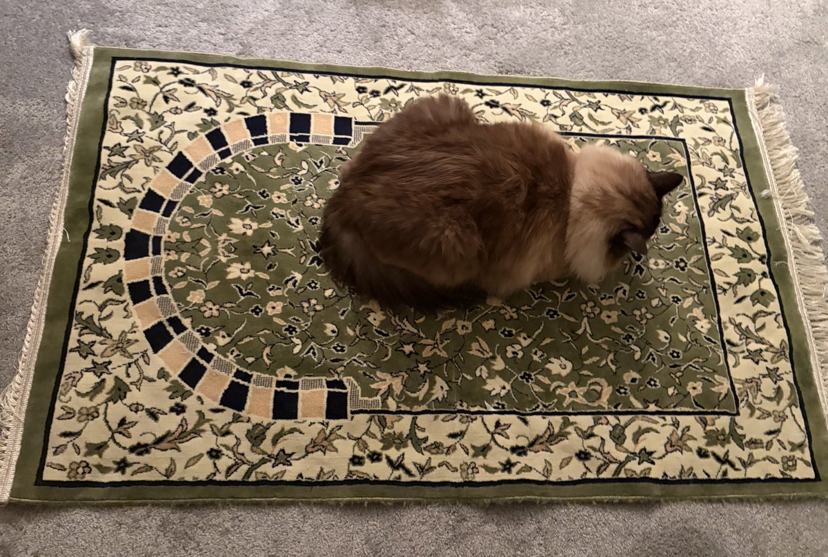 wrong direction baby… yk what it’s the thought that counts