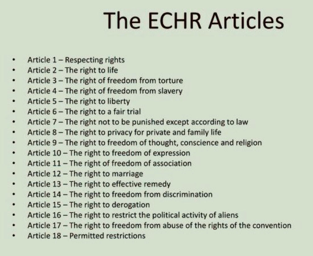 Ana Ribeiro 💙 tweet media