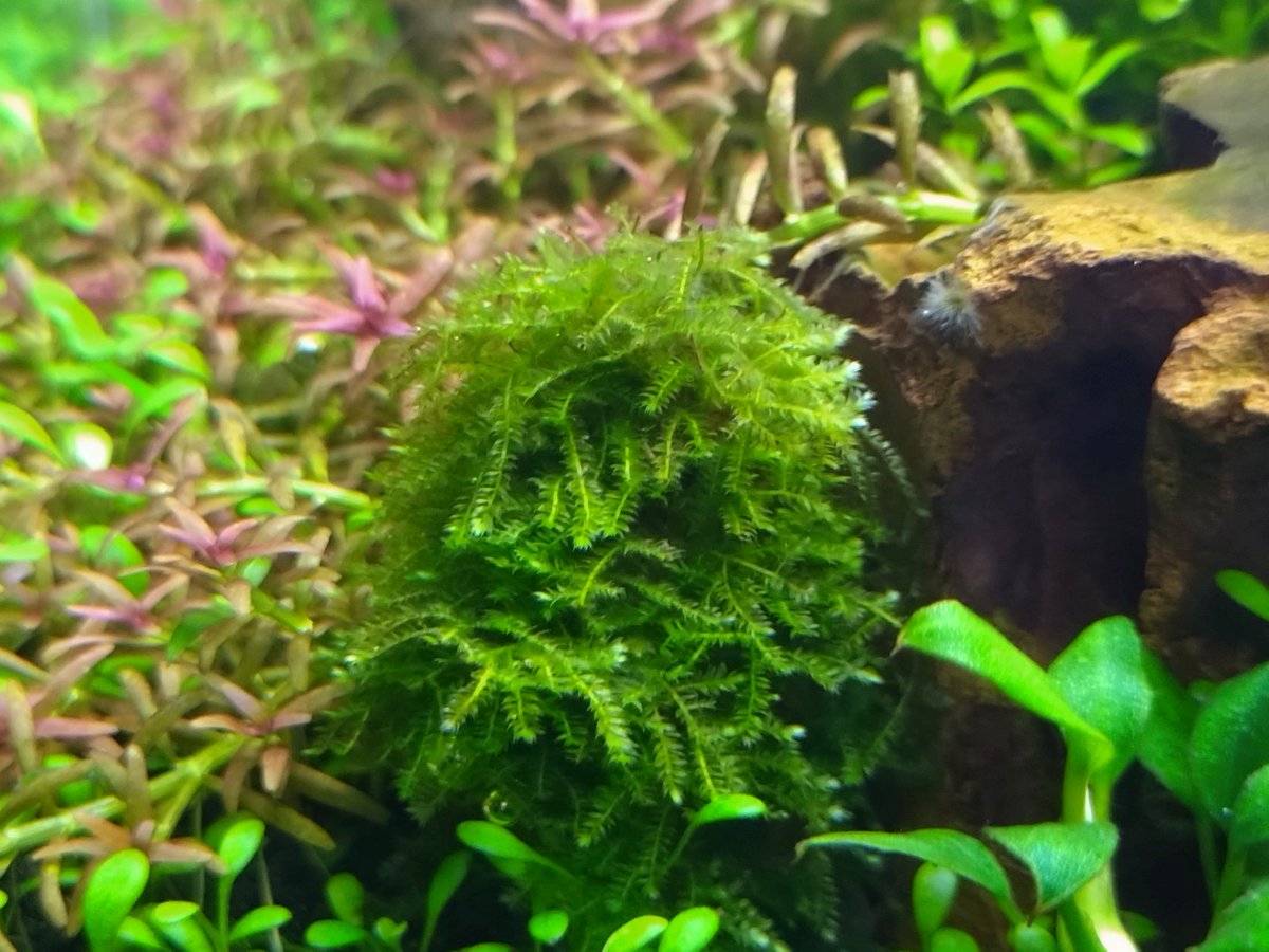 まさ@某ブログ管理人 on X