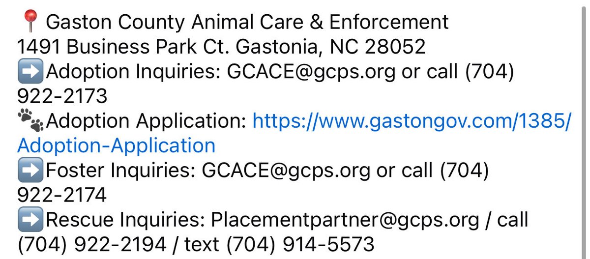❇️ See info in attached photo. 
🆘 These sweet babies time runs out 
       11/3! 💔
💰 Have rescue interest, need pledges! 
📍 Gaston County, #NorthCarolina  
📱 Text line: 704-914-5573
#FostersSaveLives #AdoptDontShop <a href="/Dubs4Mutts/">🐶Amber & Belle🐾</a> <a href="/PawsnTails4TX/">@PawsnTails4TX 🇺🇸🇺🇸🐾🐾</a> <a href="/psychicwhisper3/">Eileen Bacon</a> <a href="/_DOGPOOL_/">DOGPOOL</a>