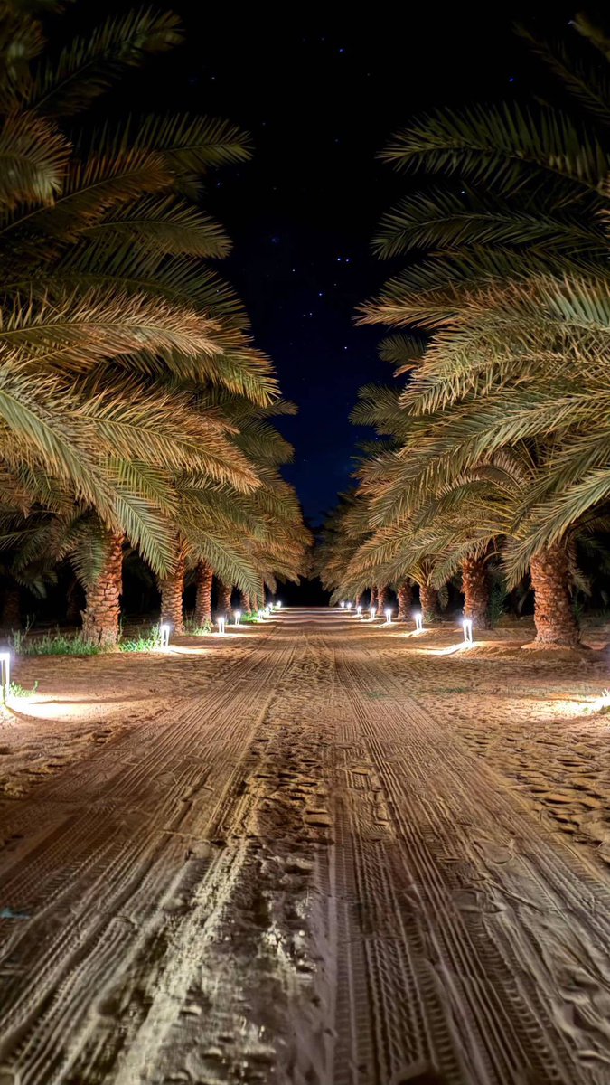 -
ان تتجاوز الرغبه .. ذلك هو العبور العظيم!

ماعاد يغريني ..اللي كان يغريني 
الظاهر إني كبرت أكثر من الازم !