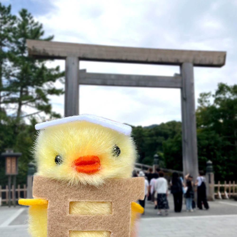 ひよこのおかげ【公式】 (@hiyokono_okage) / Posts / X