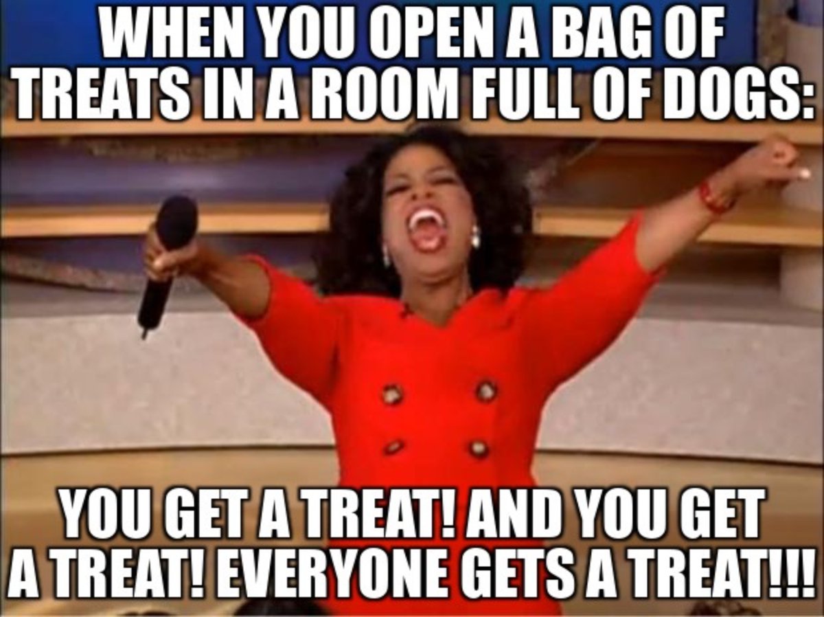 woof woof