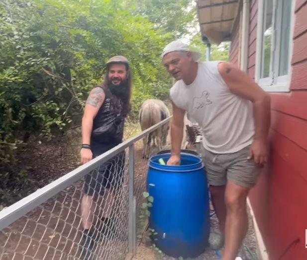 Dalis exascendado tweet media