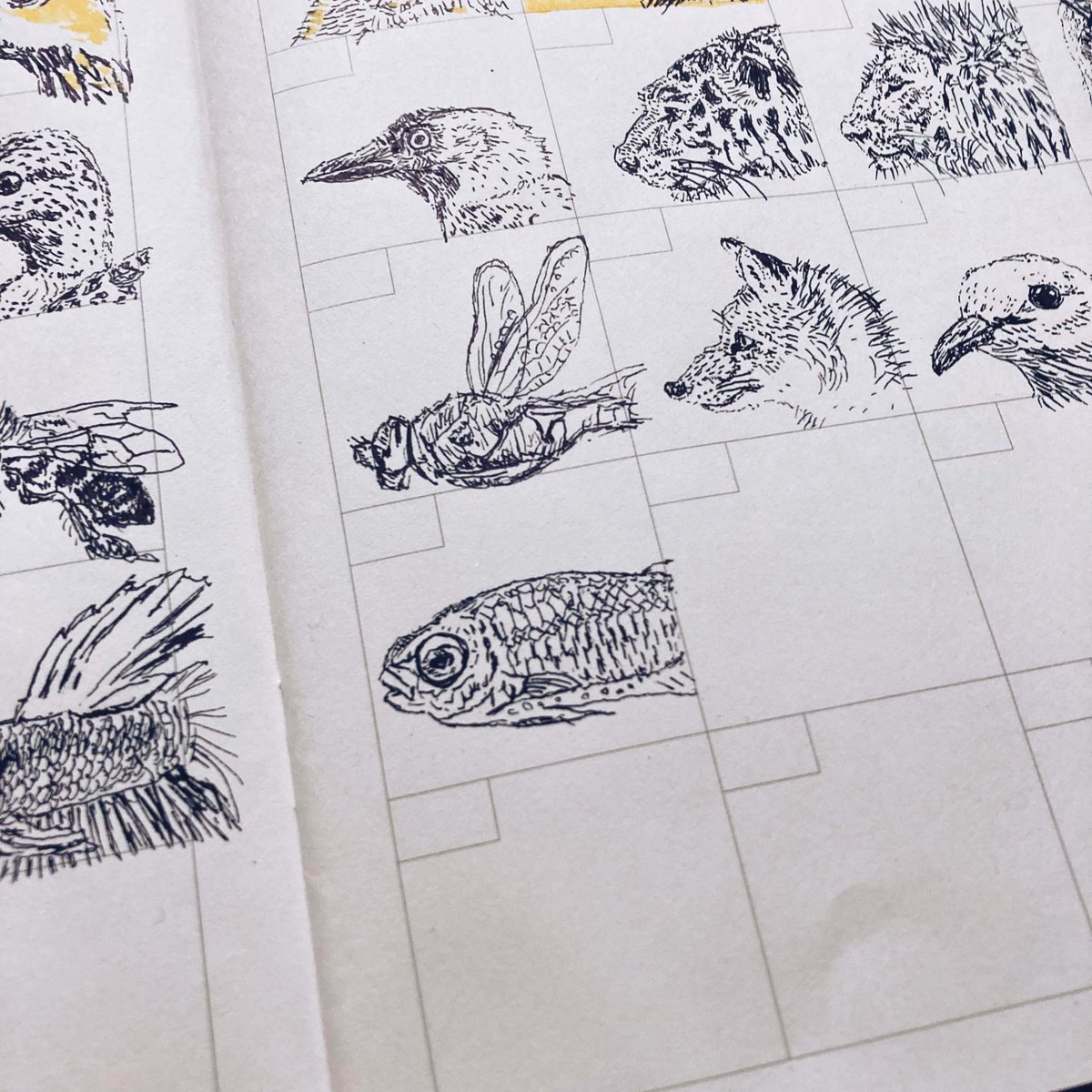 「努力しても結果が出ない...」

そんなとき、スズメダイの「農業」が参考になります。

彼らは、食べられない雑草を毎日丁寧に取り除き、好きな藻だけを育てています。

不要なものを取り除く習慣こそ、大切です。