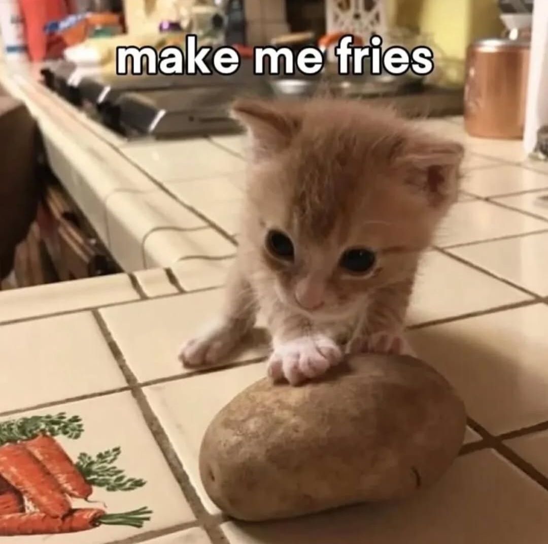 Catsillyness's tweet image. 🍟