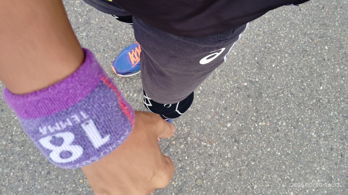 かめ様せんよう！！ 宇崎日新 ゼロサム 稲穂バイオレット-TCH 4.50m 00号MINUS 4505