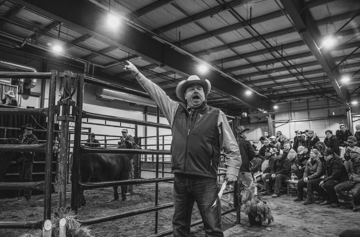 Start preparing for your #cdnangus sale catalogue now! Complete your registrations and leave enough time for DNA testing and genetic evaluation processing. Also, if you have a catalogue you’d like shared on our website please forward a link to cdnangus@cdnangus.ca.