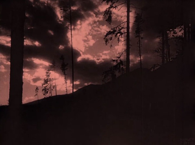 TheCinesthetic tweet picture
