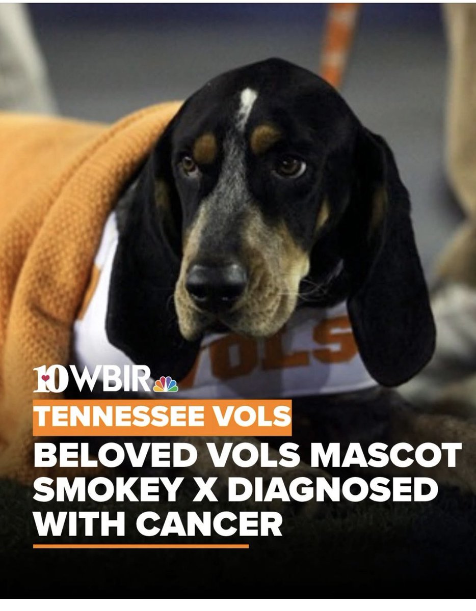 🥎🧡🩵EllaDodgeLovinVol🩵🧡🥎 tweet media