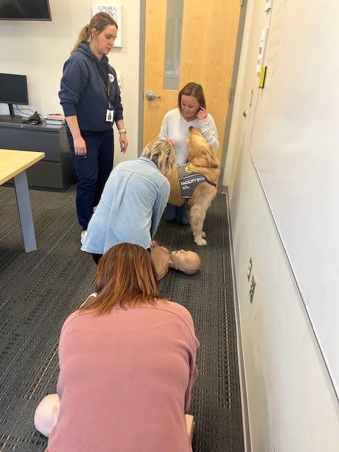 The Zinser Elementary MERT (Medical Emergency Response Team) recently finished up their CPR certification with the skill test, so they are ready for anything! Panko wanted to help, too. 🐶 We are grateful for our school nurses who helped with the training! 💪