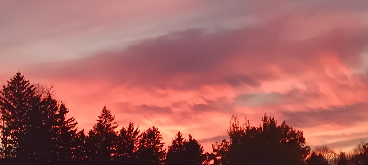 Muse_Clio75's tweet photo. May your days be surrounded by beauty...and your eyes be wide open to see it.
#lifeispoetry https://t.co/a2BKRss9xG