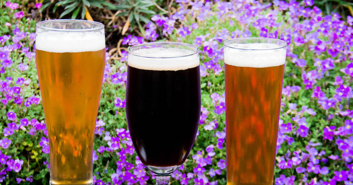 ICYMI: 🍻 Crisp Days, Chilly Nights and Great Local Beer! - mailchi.mp/90a36d1c8eb9/2…