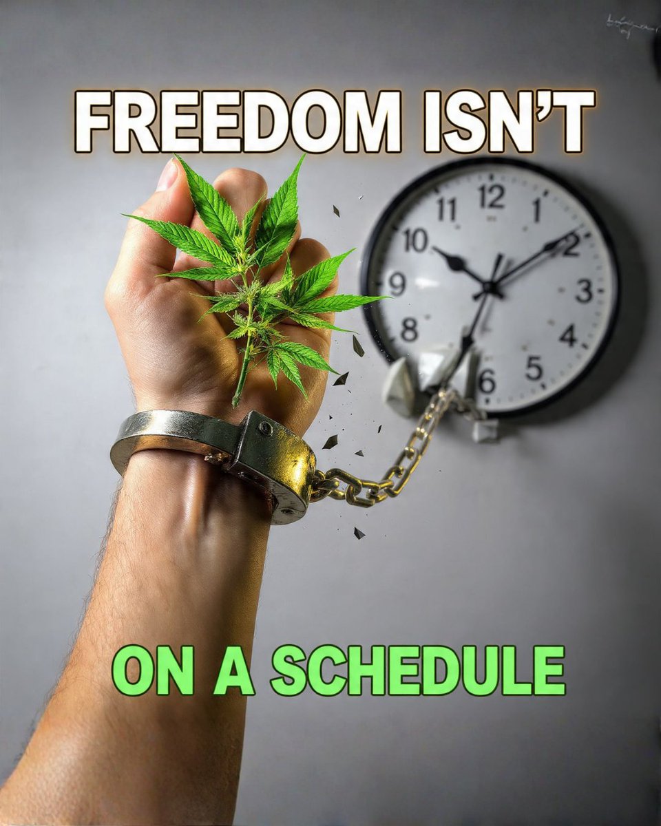 DescheduleEarth's tweet photo. Moving cannabis to a different schedule is just moving the chains to a new spot on the wall. True freedom for this plant and the people who use it means cutting those chains completely. We need real justice that allows everyone to cultivate and thrive, not continued control by federal timetables. Demand an end to all scheduling. #DescheduleCannabis @SauceFarmCanna @medicalgrower42