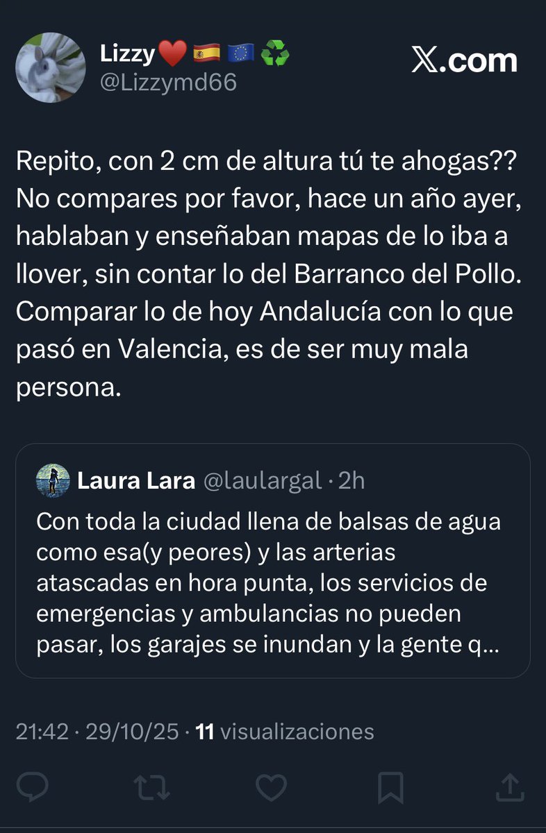 Qué mal está la gente de la cabeza. Me quejo de las inundaciones de hoy en Sevilla, la tipa va y se ríe, le digo que es serio y que está la ciudad colapsada con el peligro que ello conlleva y, tras bloquearme, se inventa que lo estoy comparando con lo de Valencia. 🤦🏻‍♀️