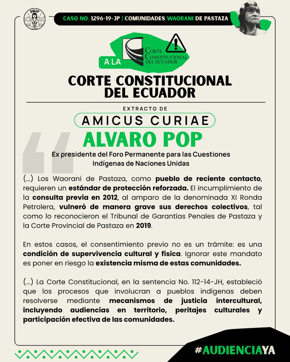 WaoResistencia's tweet image. Amicus Curiae de @1alvaropop solicitando a @CorteConstEcu #RichardOrtiz no archivar ni deseleccionar el caso No. 1296-19-JP, garantizando audiencias interculturales con participación de las comunidades Waorani de Pastaza.
#AudienciaYa
👉Aquí el amicus amazonfrontlines.org/wp-content/upl…