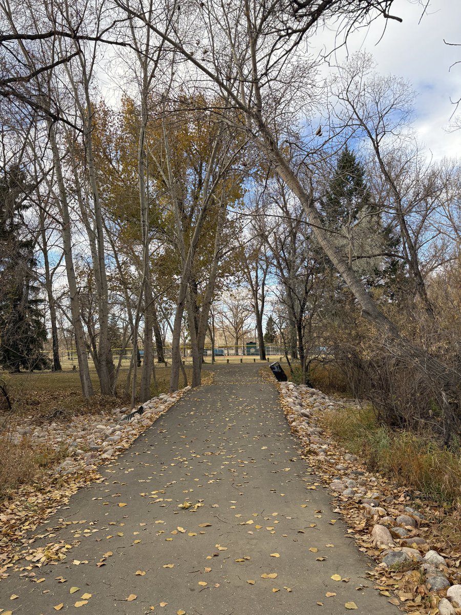 Walking Wednesday in my PE classes today. Some nice autumn pics. #sharethetrailmh #autumninalberta #medhat #WalkingWednesday