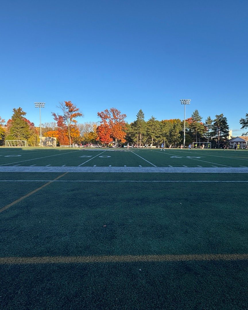 Matt Hill tweet media