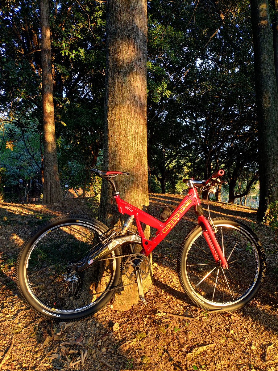 ぱにぱに8274fufufu (@panipani8274fuf) / Posts / X