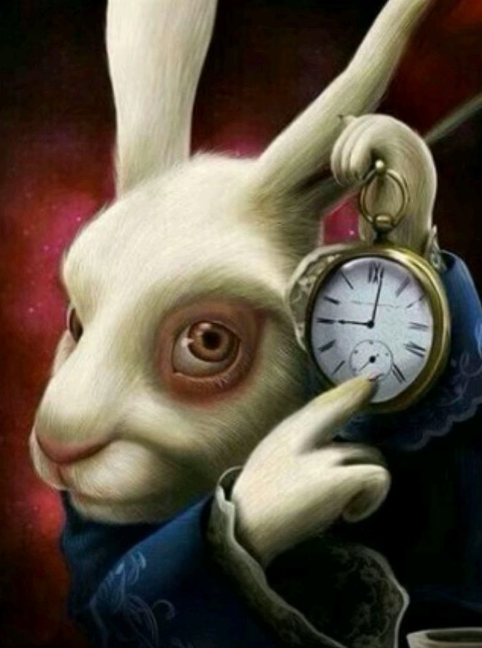 aavruucndf's tweet photo. confirmado. https://t.co/Ao9zs7gLvV