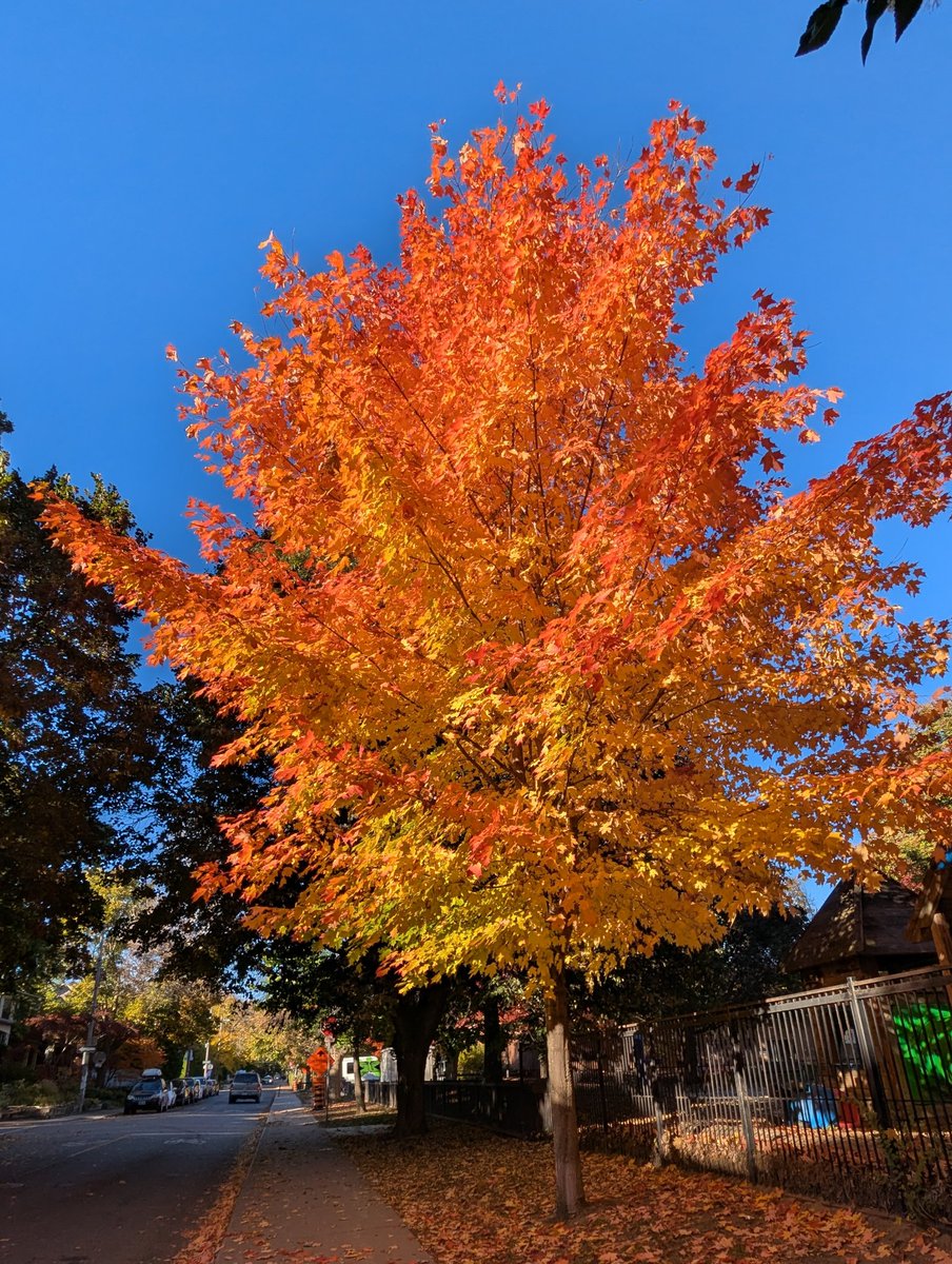 fixedfrontier's tweet image. Two bad omens on today&apos;s run