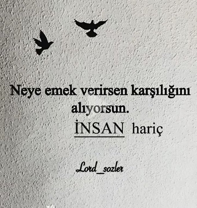 İnsan hariç …