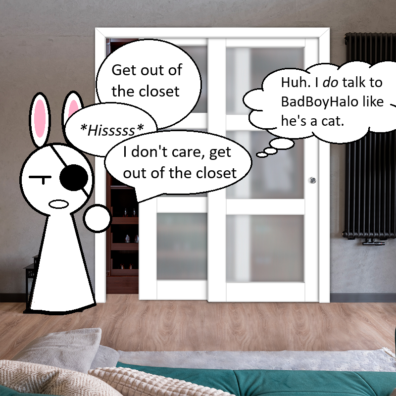 Babysitting a cat this week